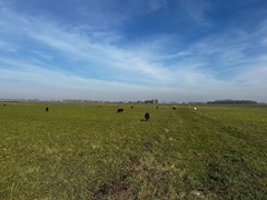 Batelaan, 2396ET Koudekerk aan den Rijn